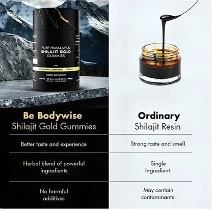 Pure Himalayan Shilajit Gummies